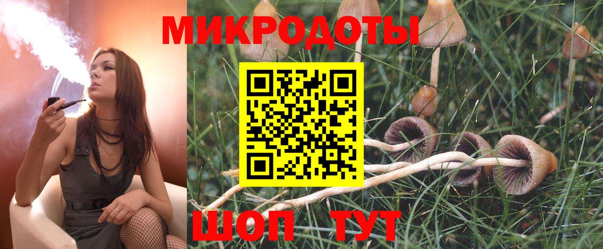 Псилоцибиновые грибы MAGIC MUSHROOMS  Псилоцибиновые грибы Psilocybine cubensis  Наро-Фоминск  Вход с VPN 