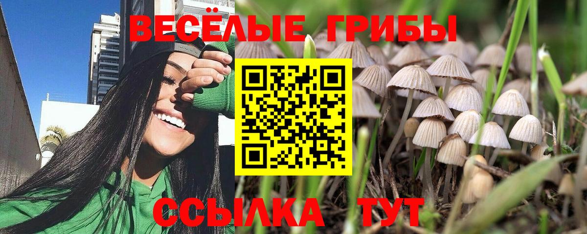 Галлюциногенные грибы Magic Shrooms Наро-Фоминск